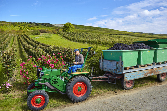 Oldtimer Allgaier K&auml;lble